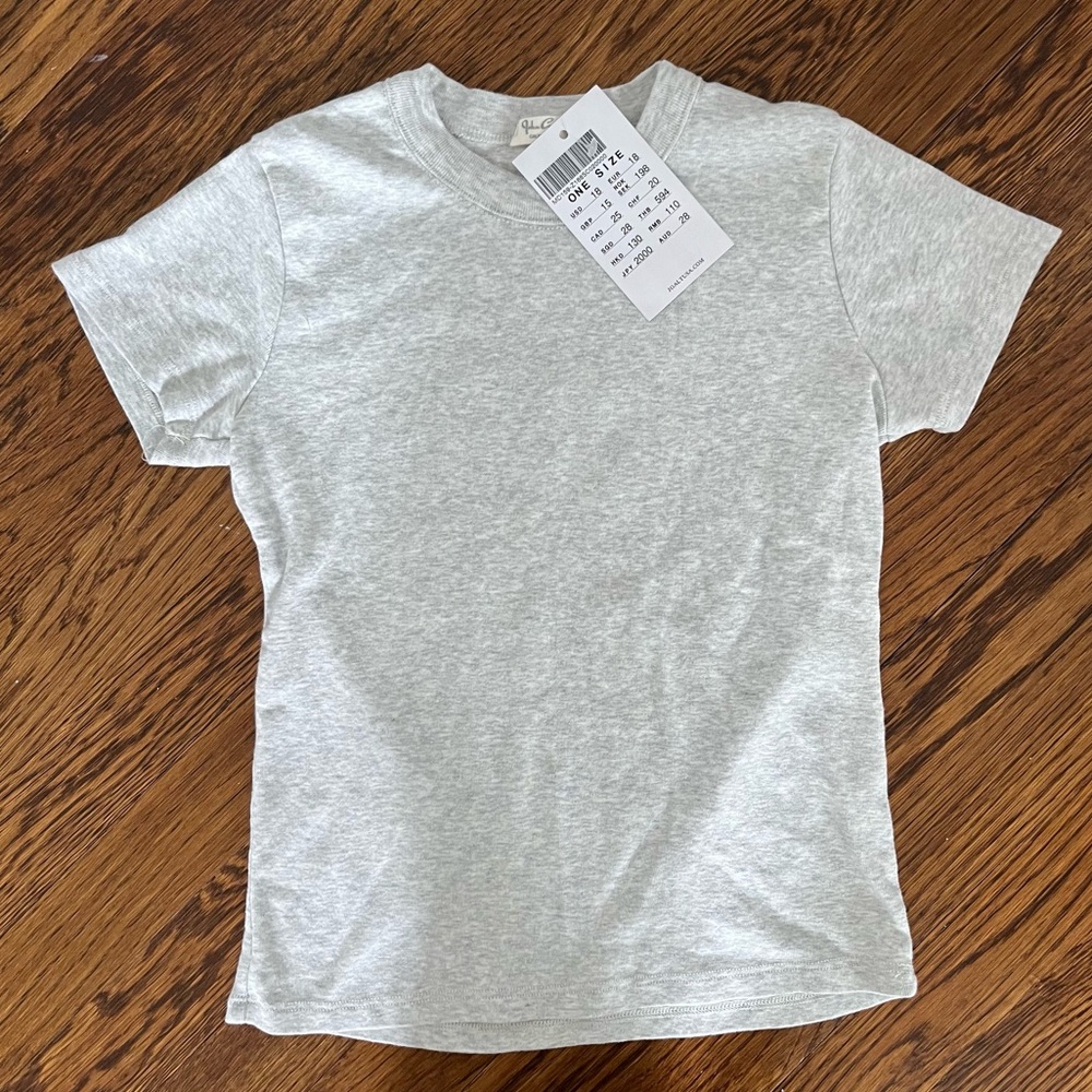 Brandy Melville / John Galt Gray Hailie Basic T-Shirt
